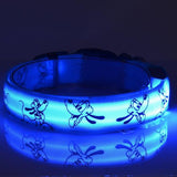 Safety Glowing Pet Collar With LED By Project Pet Lovers Club