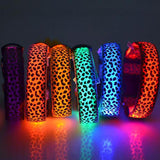 Safety Glowing Pet Collar With LED By Project Pet Lovers Club