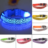 Safety Pet Collar With LED And Printed Design By Project Pet Lovers Club