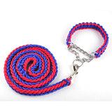 Big Dog Plaited Leash And Collar Set
