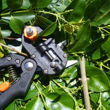 Garden Grafting Shear Tool